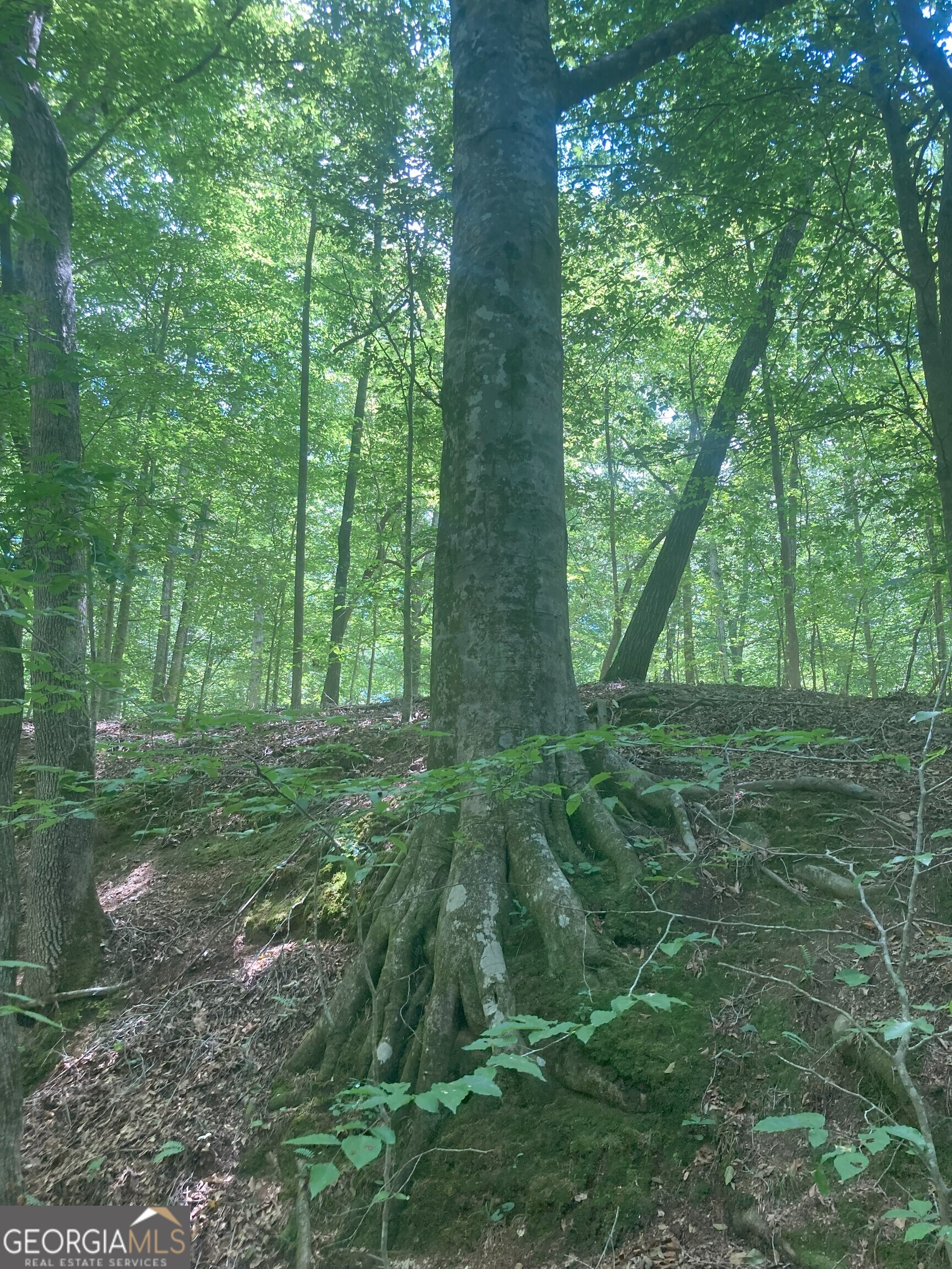 0 Rabbit Run McDonough, GA 30252 - Photo 6 of 8 a view of outdoor space and yard