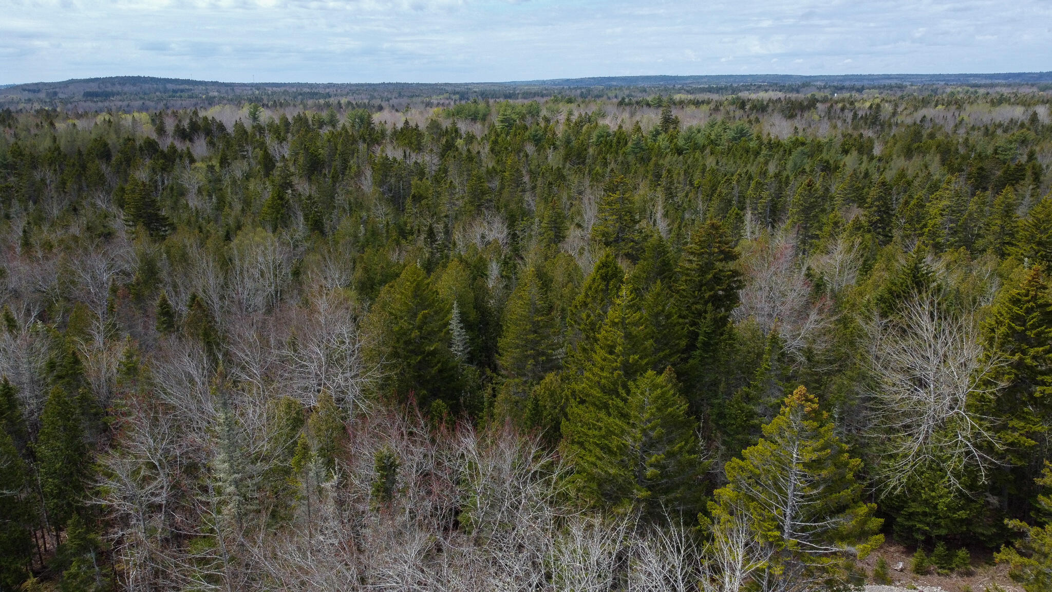 58 High Head Road East Machias, ME 04630 - Photo 16 of 17 UQBS1553
