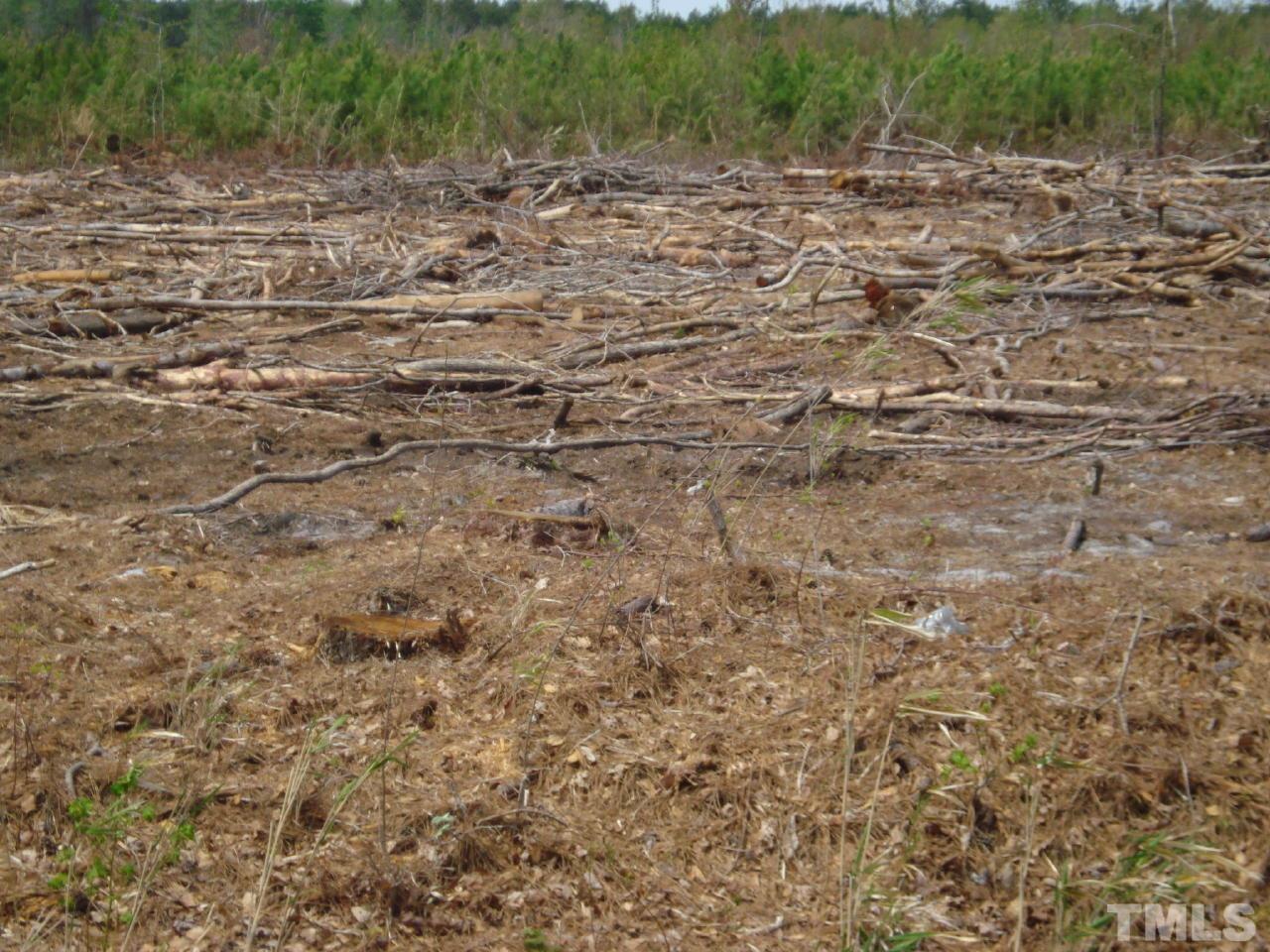 Obj Road Dunn, NC 28334 - Photo 13 of 19 a view of a dry yard with trees