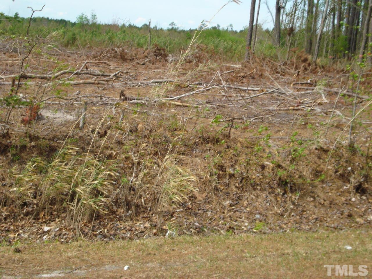 Obj Road Dunn, NC 28334 - Photo 16 of 19