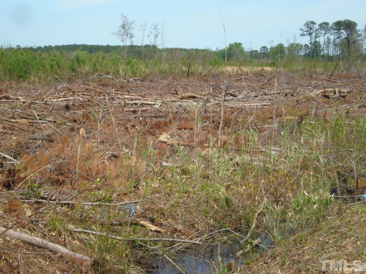 Obj Road Dunn, NC 28334 - Photo 18 of 19 a view of lake