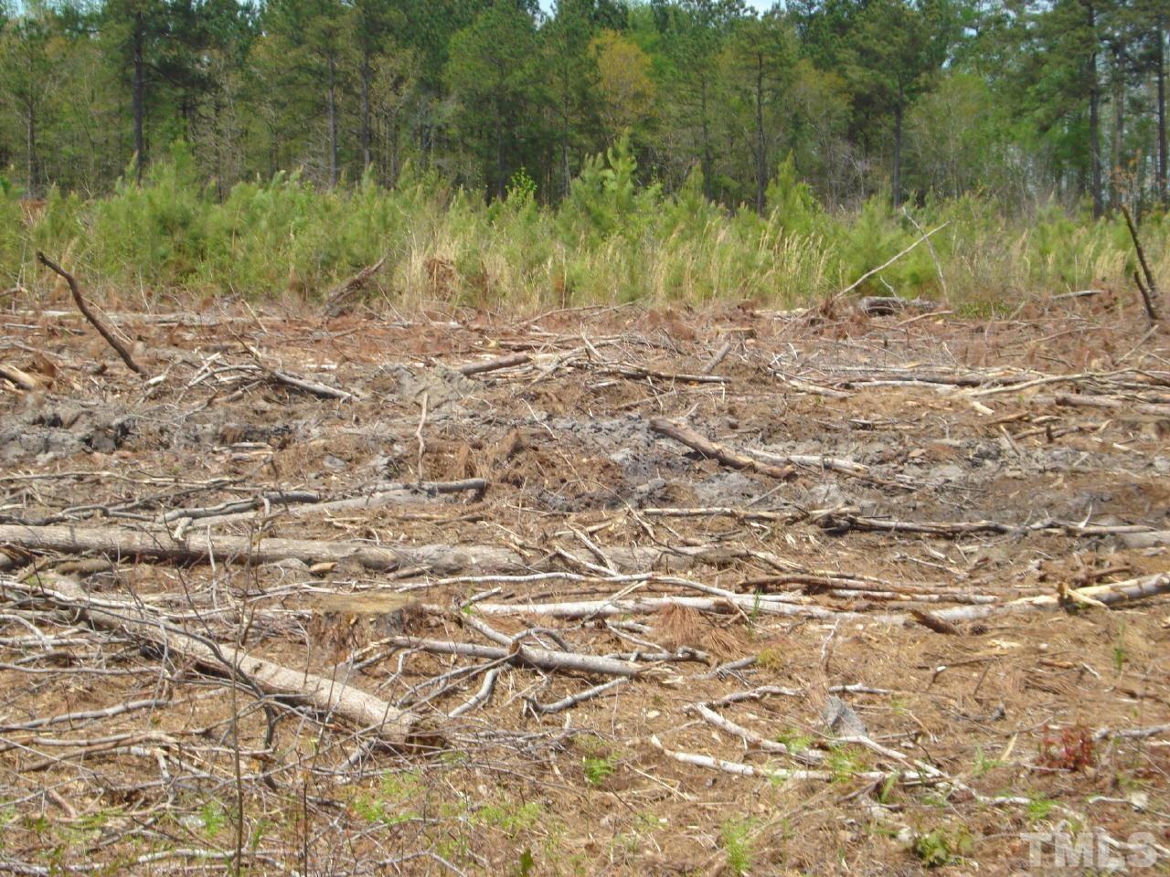 Obj Road Dunn, NC 28334 - Photo 2 of 19 a view of a yard with a tree