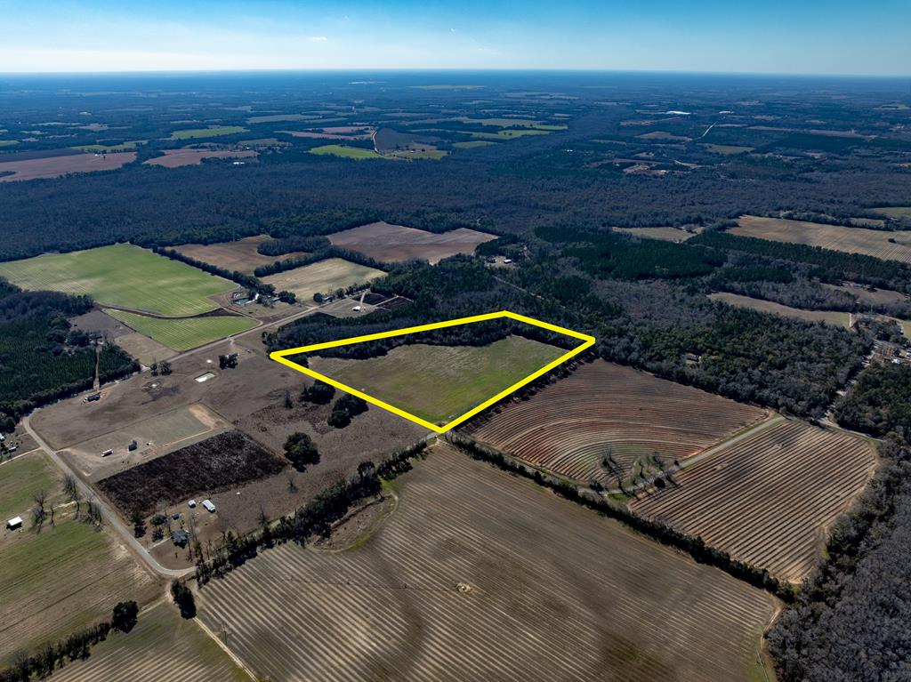 31.5-ac 31.5-ac Rammer Loop Road Dothan, AL 36301 - Photo 3 of 49