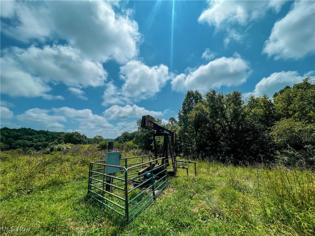 226 Banner Hill Road Spencer, WV 25276 - Photo 20 of 35