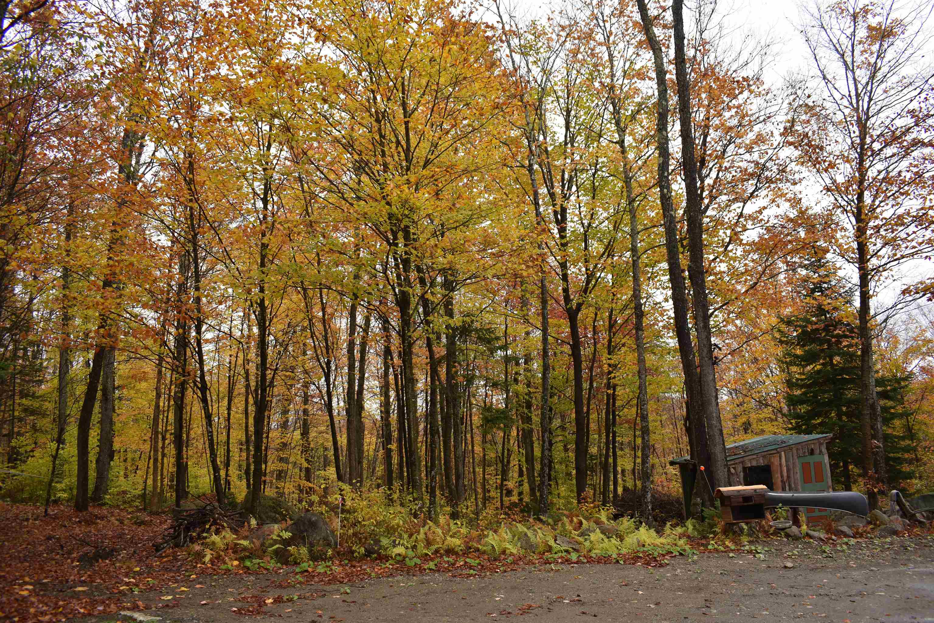 220 Daniels Pond Road Glover, VT 05839 - Photo 23 of 34