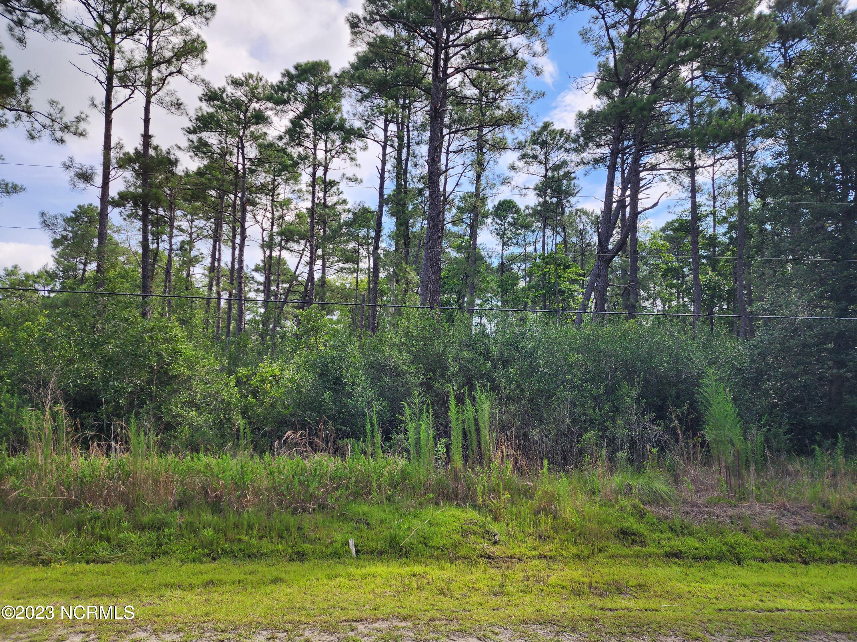L-58 Blackhawk Road Southport, NC 28461 - Photo 1 of 1 picture