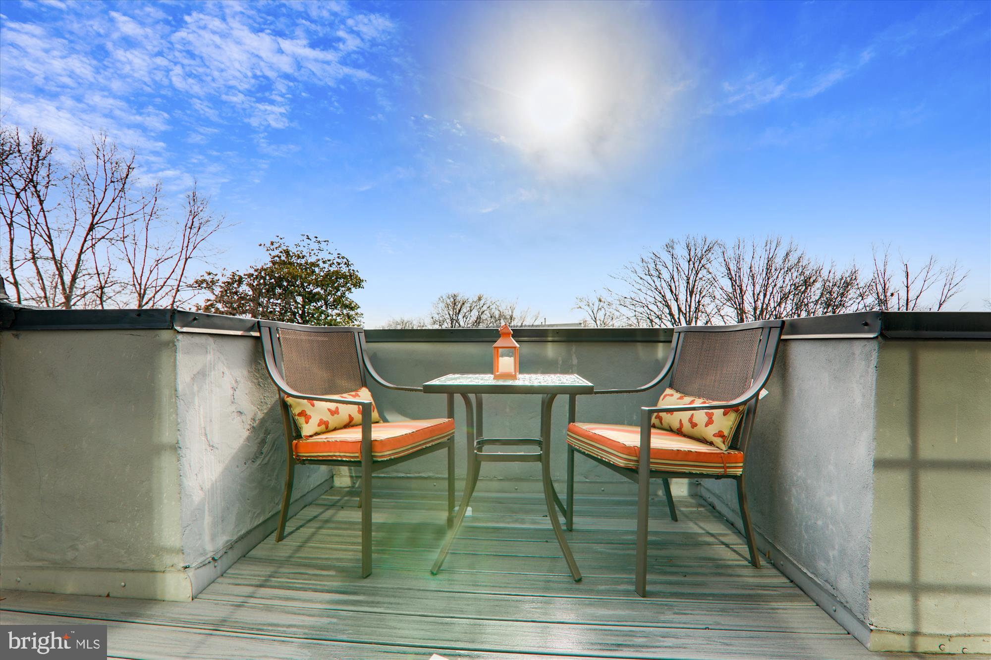 1402 E Street Southeast Washington, DC 20003 - Photo 29 of 40 3rd Floor Roof Top