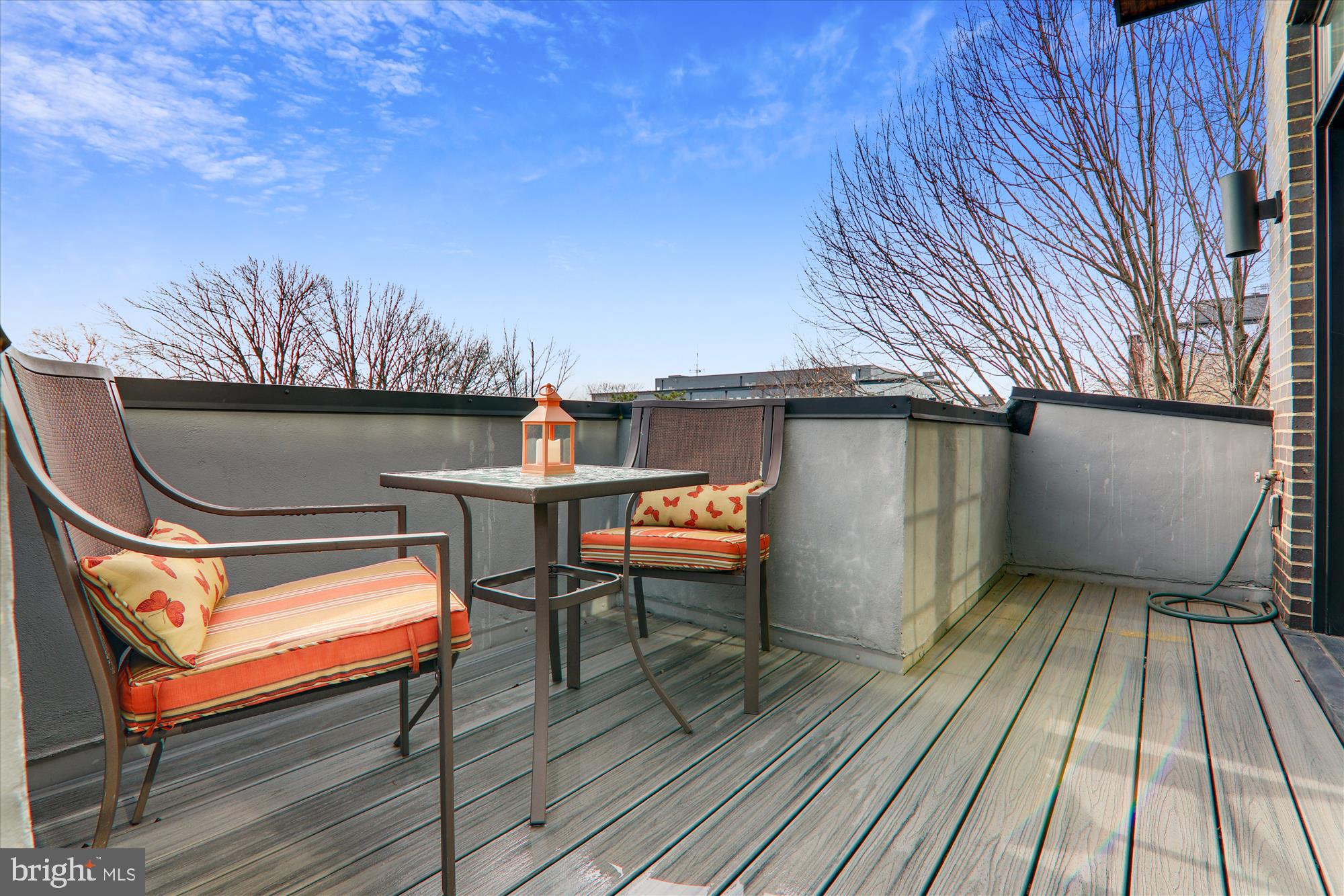 1402 E Street Southeast Washington, DC 20003 - Photo 30 of 40 3rd Floor Roof Top