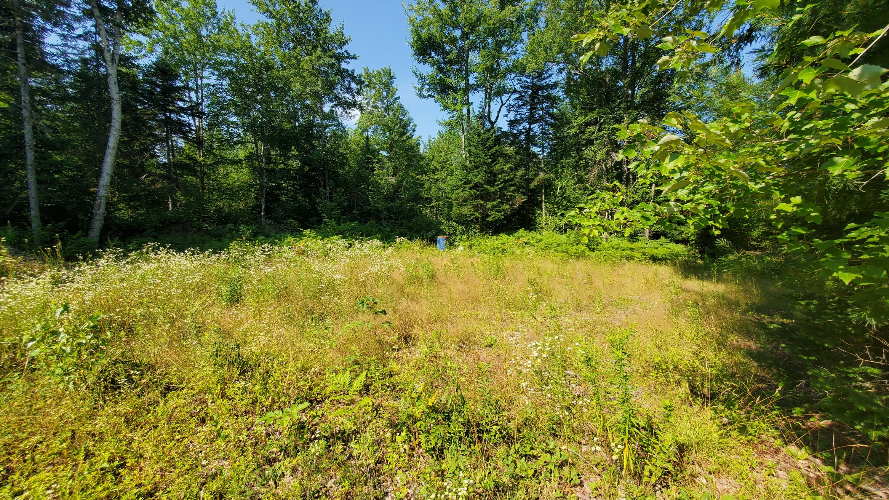 202 Lower Cross Road Hudson, ME 04449 - Photo 12 of 44 20240717_093725