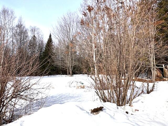 42 Tory Hill Road Phillips, ME 04966 - Photo 30 of 30 Yard