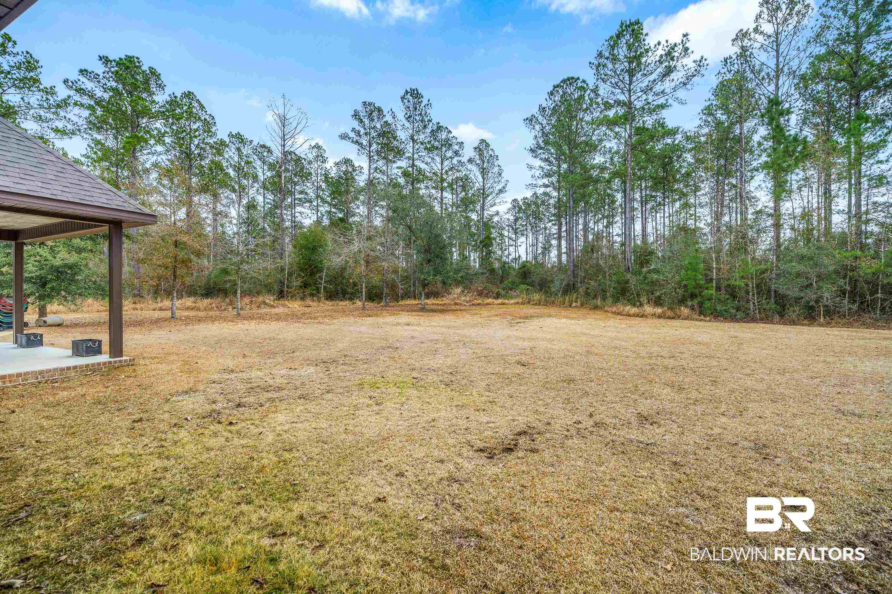 36784 Legacy Way Bay Minette, AL 36507 - Photo 47 of 57 View of yard