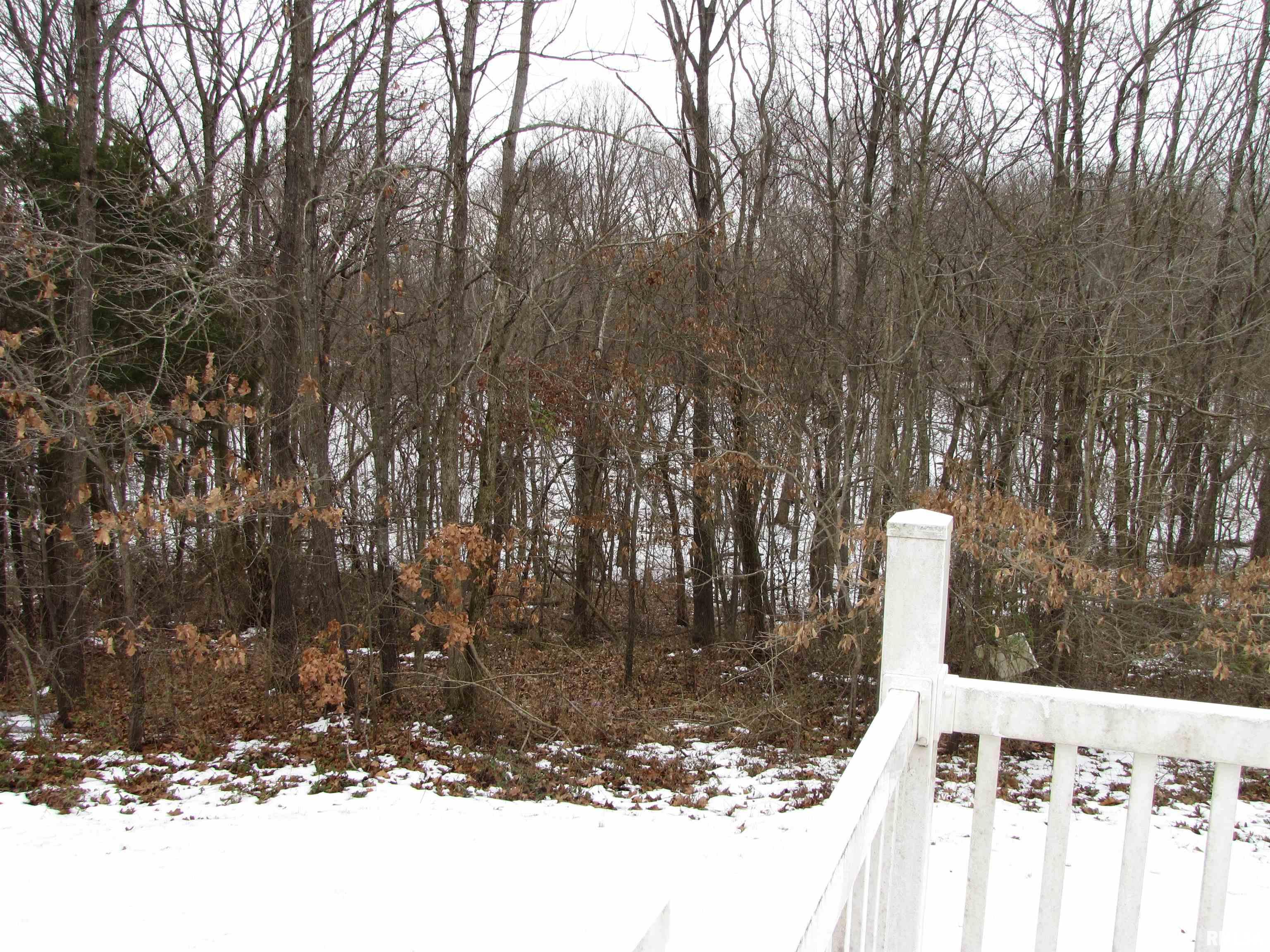 572 Gerrish Road Patoka, IL 62875 - Photo 20 of 30