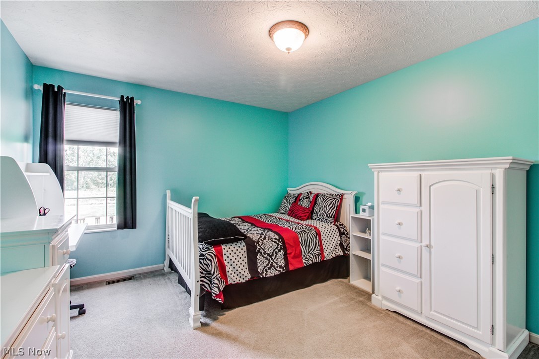 38750 Short Road Litchfield, OH 44253 - Photo 26 of 32 Gallery Image 26