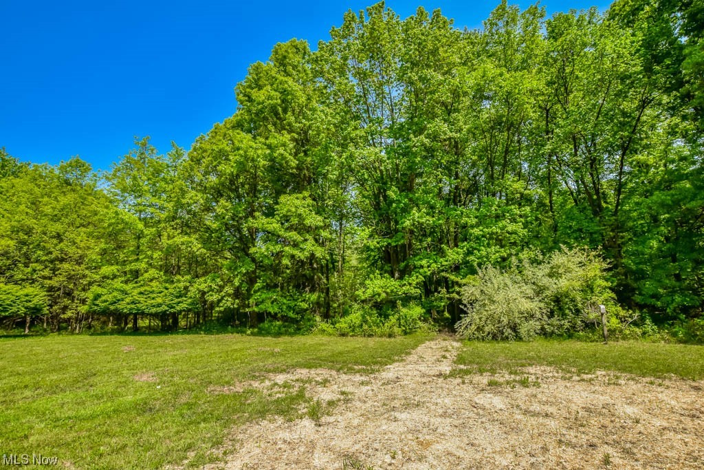 10081 Navarre Road Southwest Navarre, OH 44662 - Photo 26 of 34 Backyard
