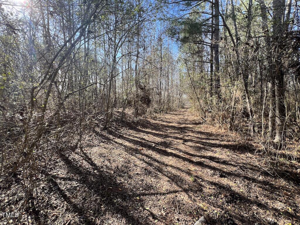 1 Savage Road Spring Hope, NC 27882 - Photo 19 of 26 21