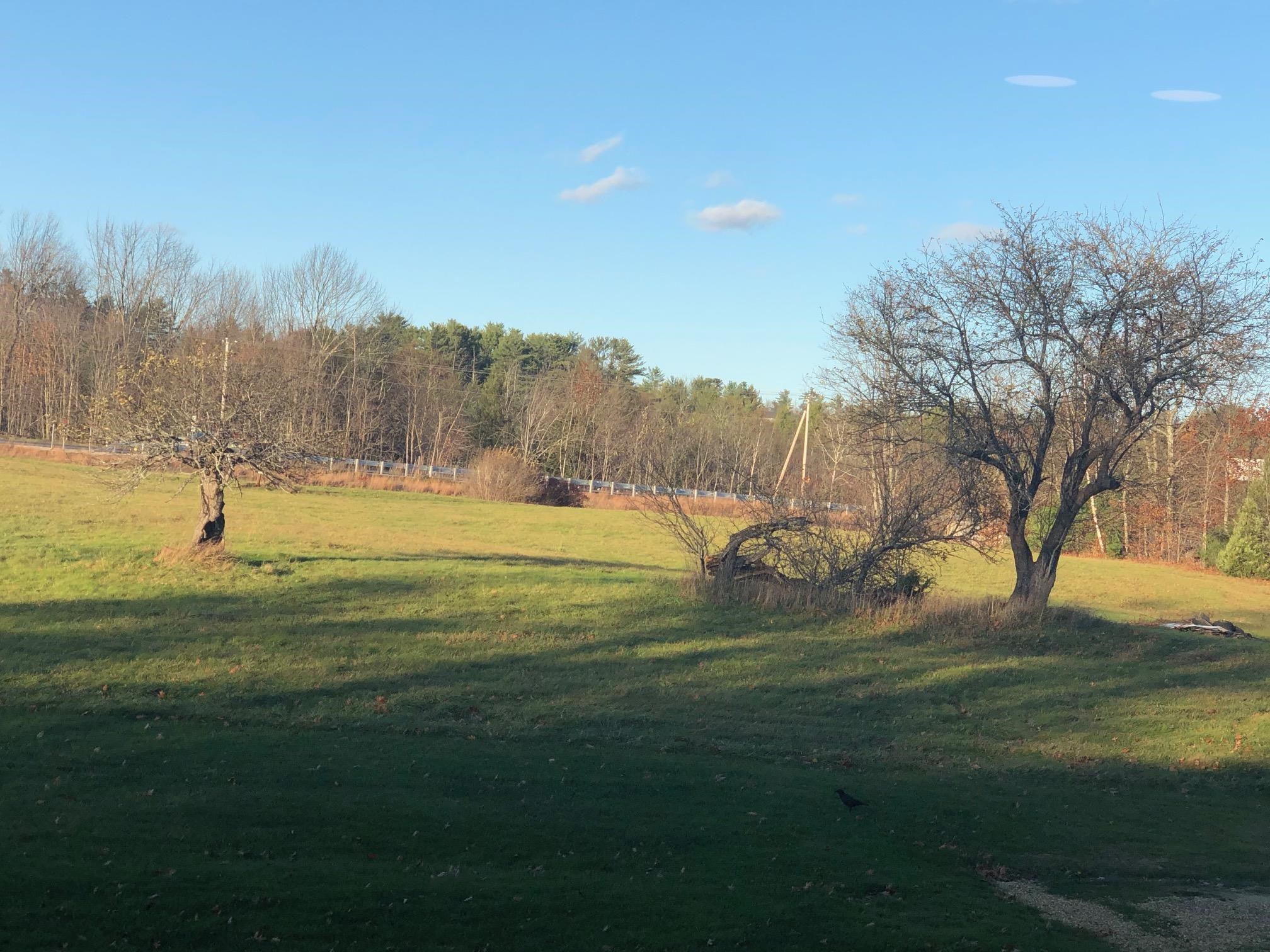 79 High Street Pittsfield, NH 03263 - Photo 16 of 58