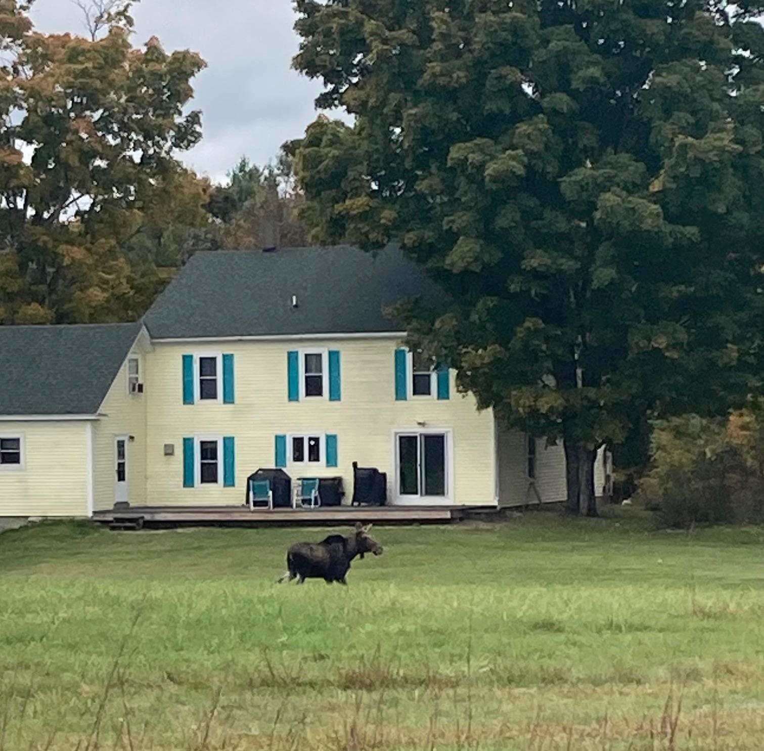 79 High Street Pittsfield, NH 03263 - Photo 7 of 58