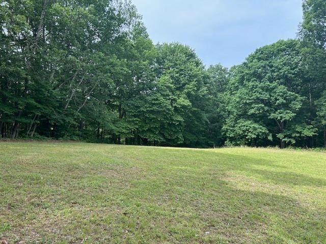 1625 New Buckley Road Ashland, KY 41102 - Photo 3 of 15