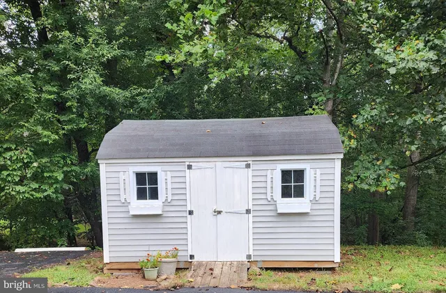 a view of a forest from a yard