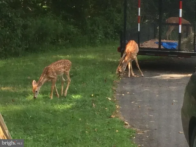 $899,000 | 22247 Watson Road, Leesburg, VA 20175