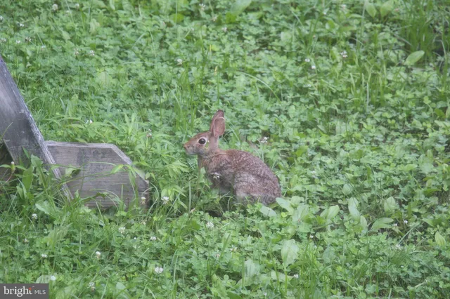 $899,000 | 22247 Watson Road, Leesburg, VA 20175