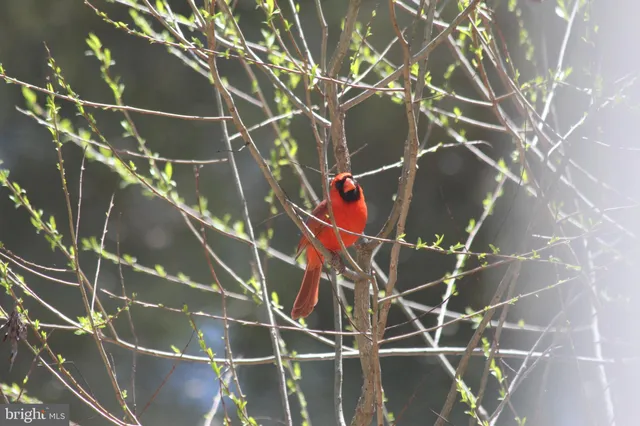 $899,000 | 22247 Watson Road, Leesburg, VA 20175