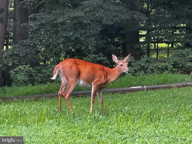 $899,000 | 22247 Watson Road, Leesburg, VA 20175