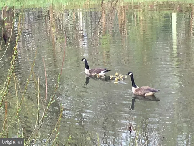 $899,000 | 22247 Watson Road, Leesburg, VA 20175