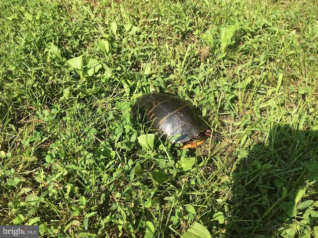 $899,000 | 22247 Watson Road, Leesburg, VA 20175