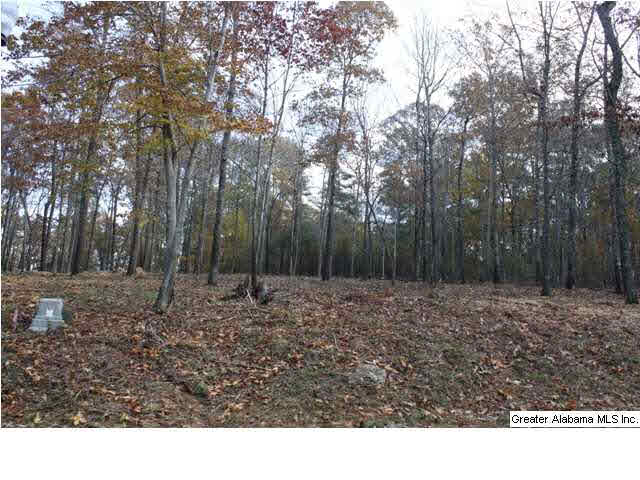 Peyton Place, Unit 3 Weaver, AL 36277 - Photo 19 of 40