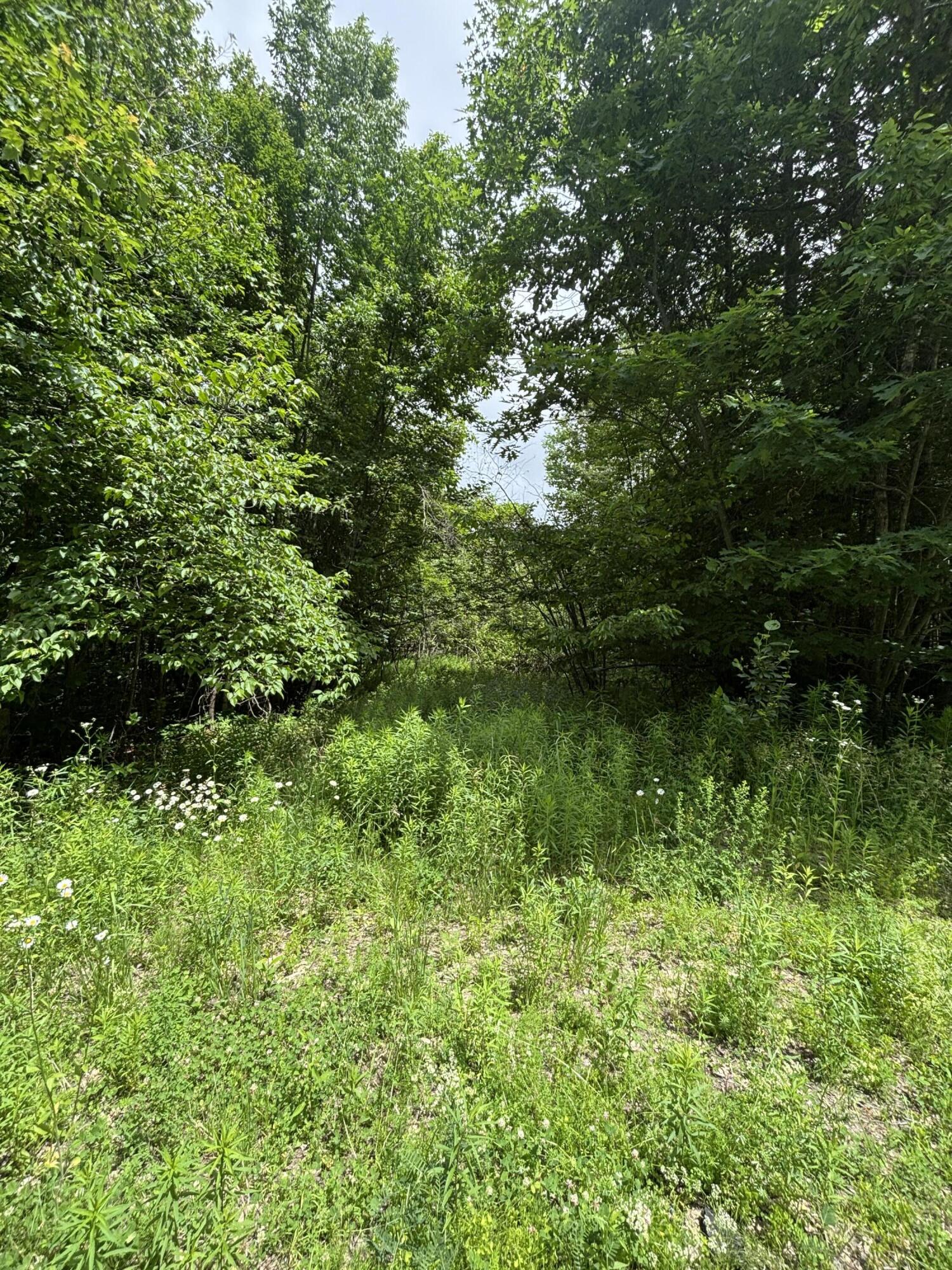 # Ledge Hill Road Corinth, ME 04427 - Photo 1 of 6 A place to park and walk in
