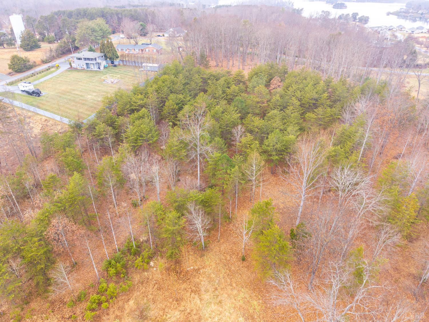 12 Caroline Court Union Hall, VA 24176 - Photo 18 of 22 a view of residential house with swimming pool and large trees
