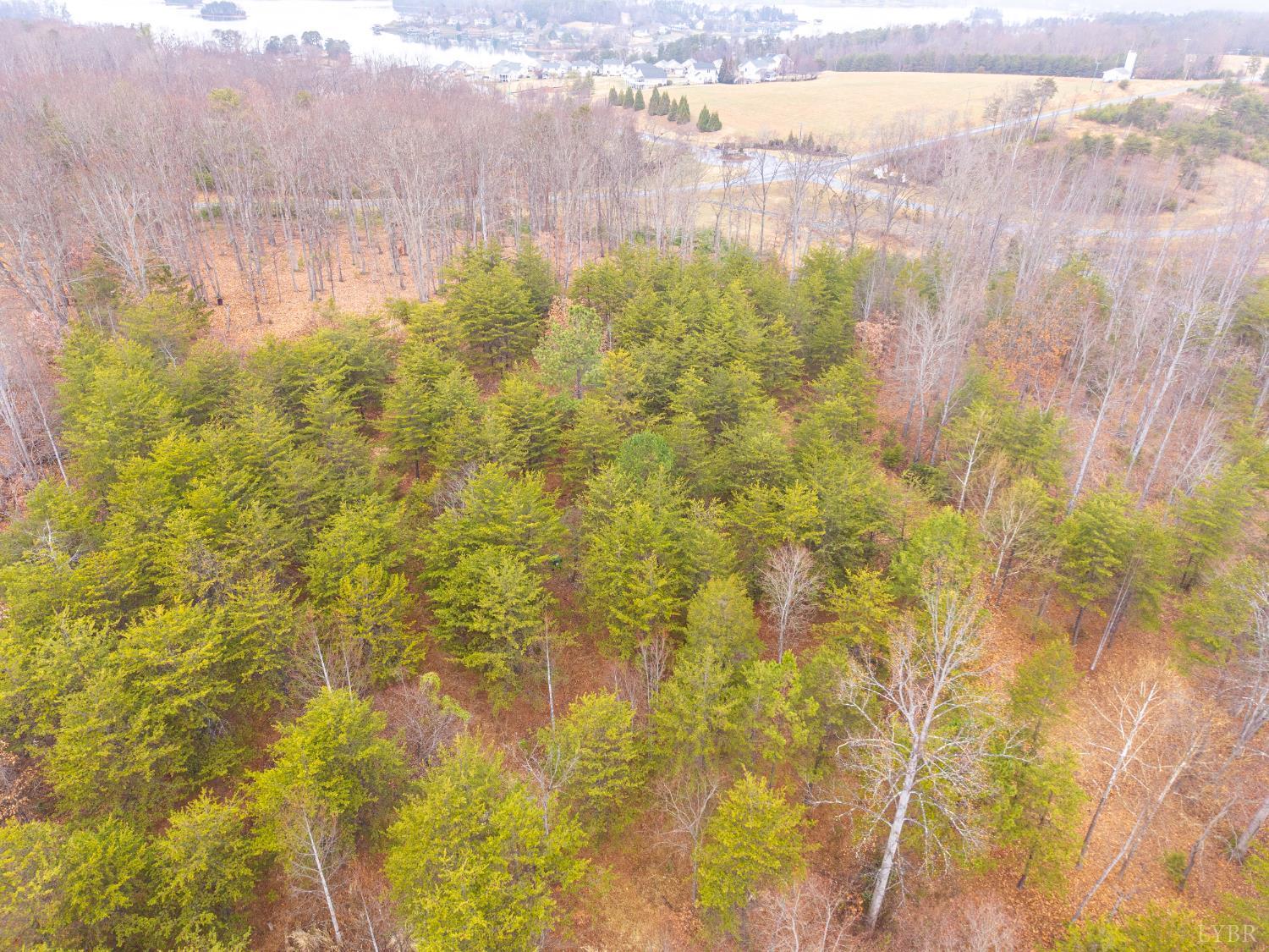 12 Caroline Court Union Hall, VA 24176 - Photo 19 of 22 a view of lake and green space