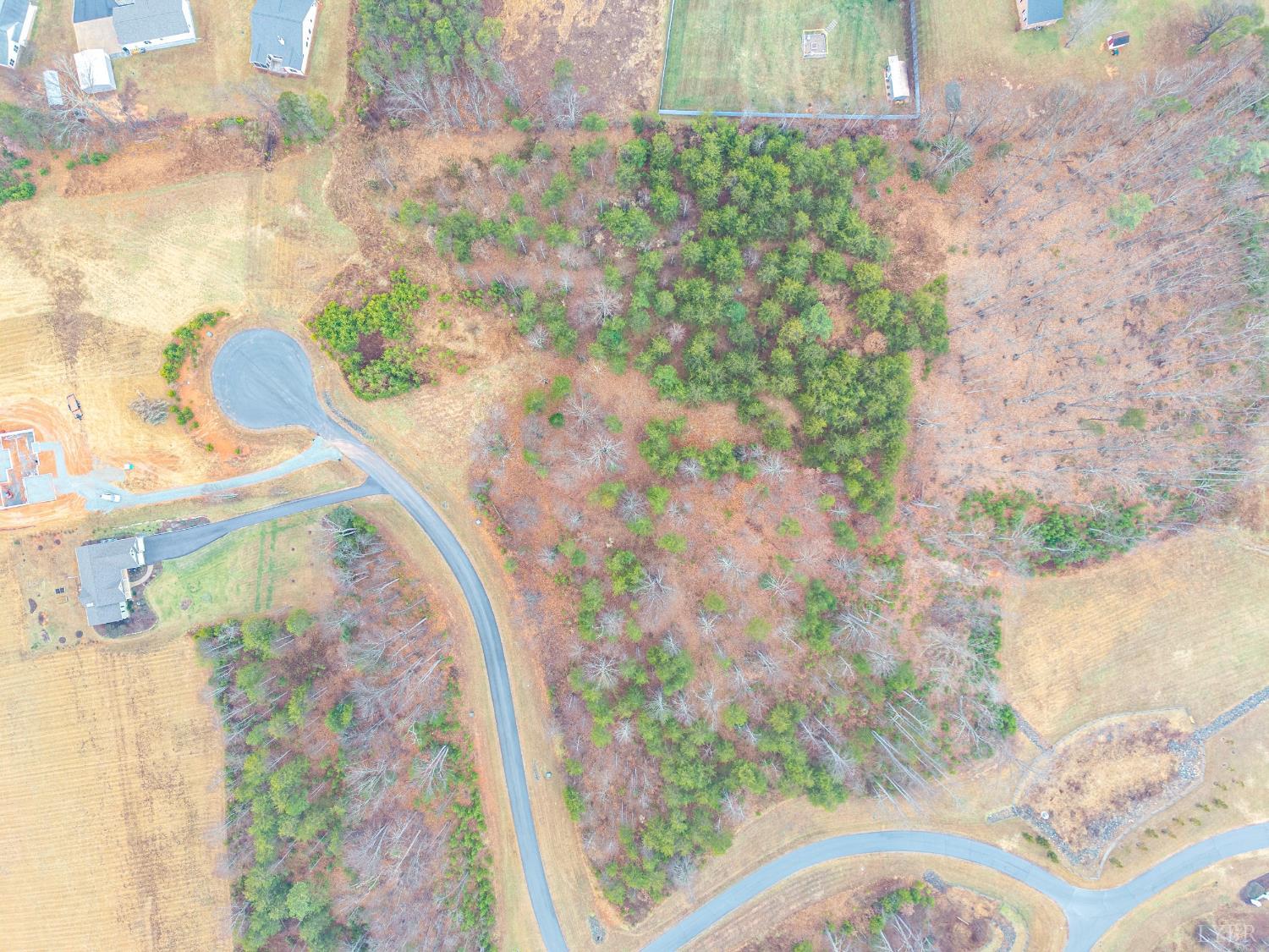 12 Caroline Court Union Hall, VA 24176 - Photo 7 of 22 a vase of flowers sitting on a table