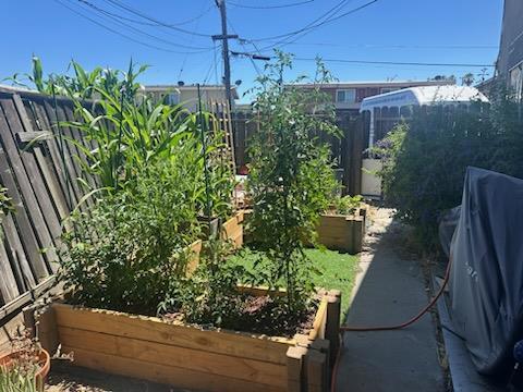 616 Gamma Court Campbell, CA 95008 - Photo 9 of 23 a view of a yard with plants