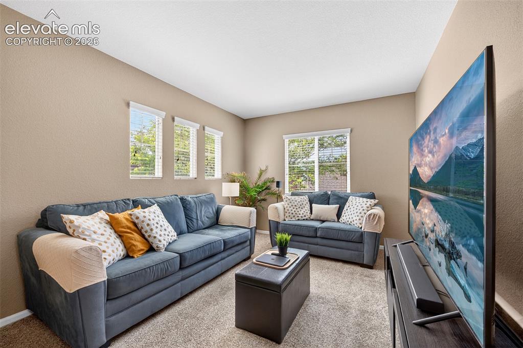 10648 Ashfield Street Highlands Ranch, CO 80126 - Photo 21 of 49 Upstairs Loft