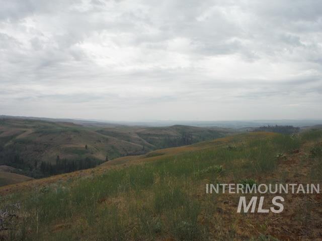 Lot 4 Middle Fork Road Council, ID 83612 - Photo 2 of 8
