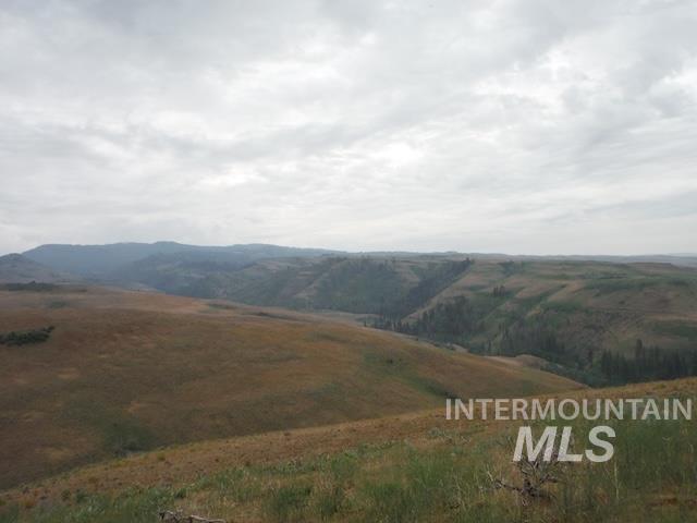 Lot 4 Middle Fork Road Council, ID 83612 - Photo 3 of 8