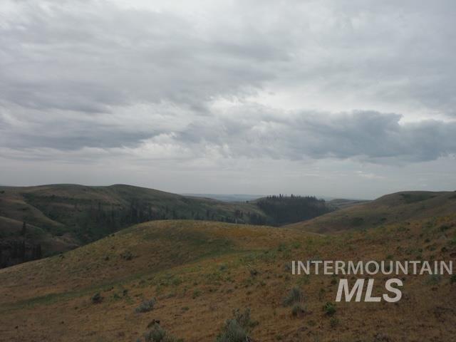Lot 4 Middle Fork Road Council, ID 83612 - Photo 7 of 8