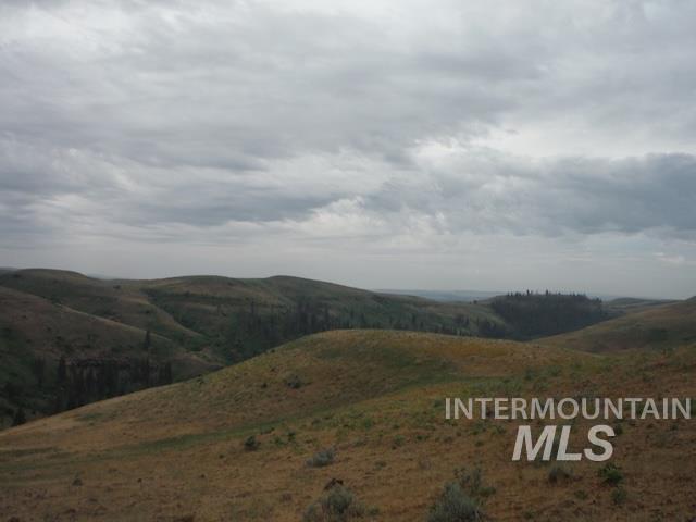 Lot 4 Middle Fork Road Council, ID 83612 - Photo 8 of 8