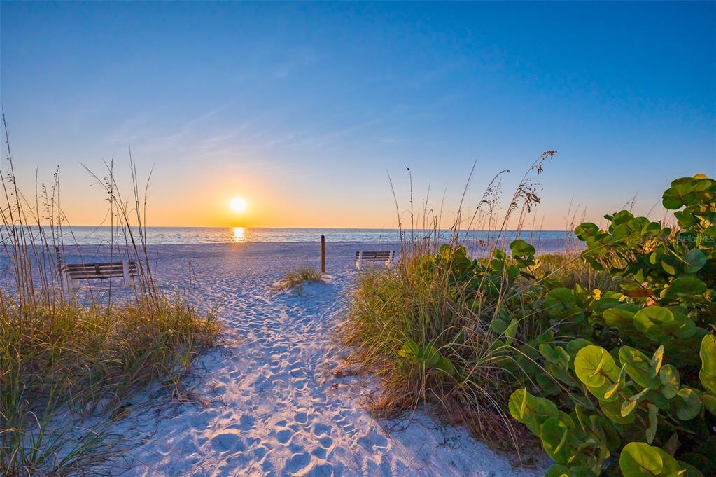 526 56th Street Holmes Beach, FL 34217 - Photo 99 of 99 a view of a yard