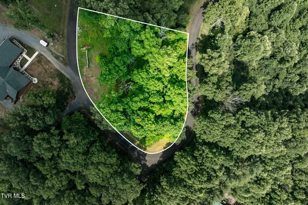 $99,000 | Lot 18 Lake Ridge Road, Unit 18, Butler, TN 37640