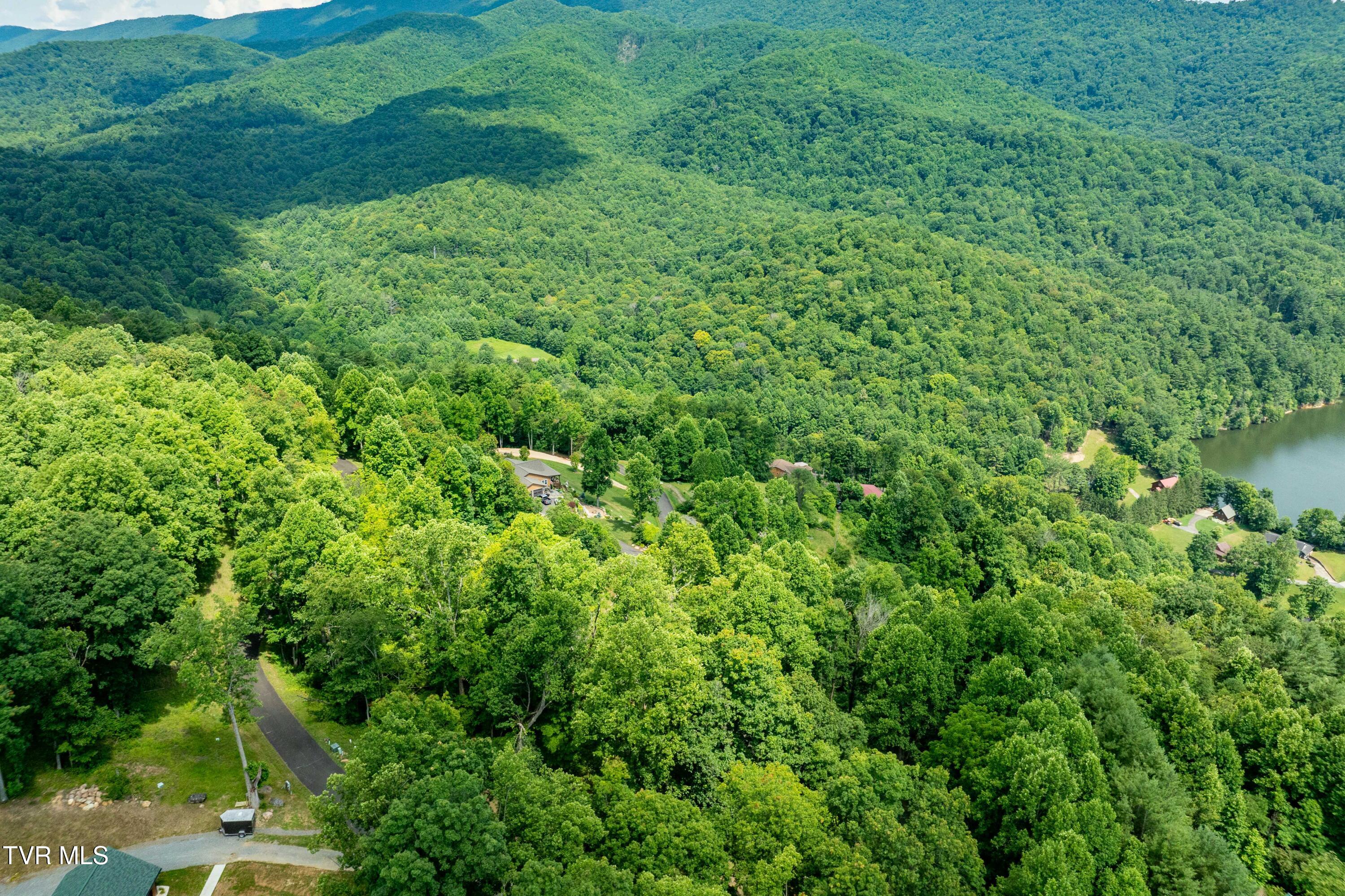 Lot 18 Lake Ridge Road, Unit 18 Butler, TN 37640 - Photo 16 of 27 Lot 18 (16 of 26)