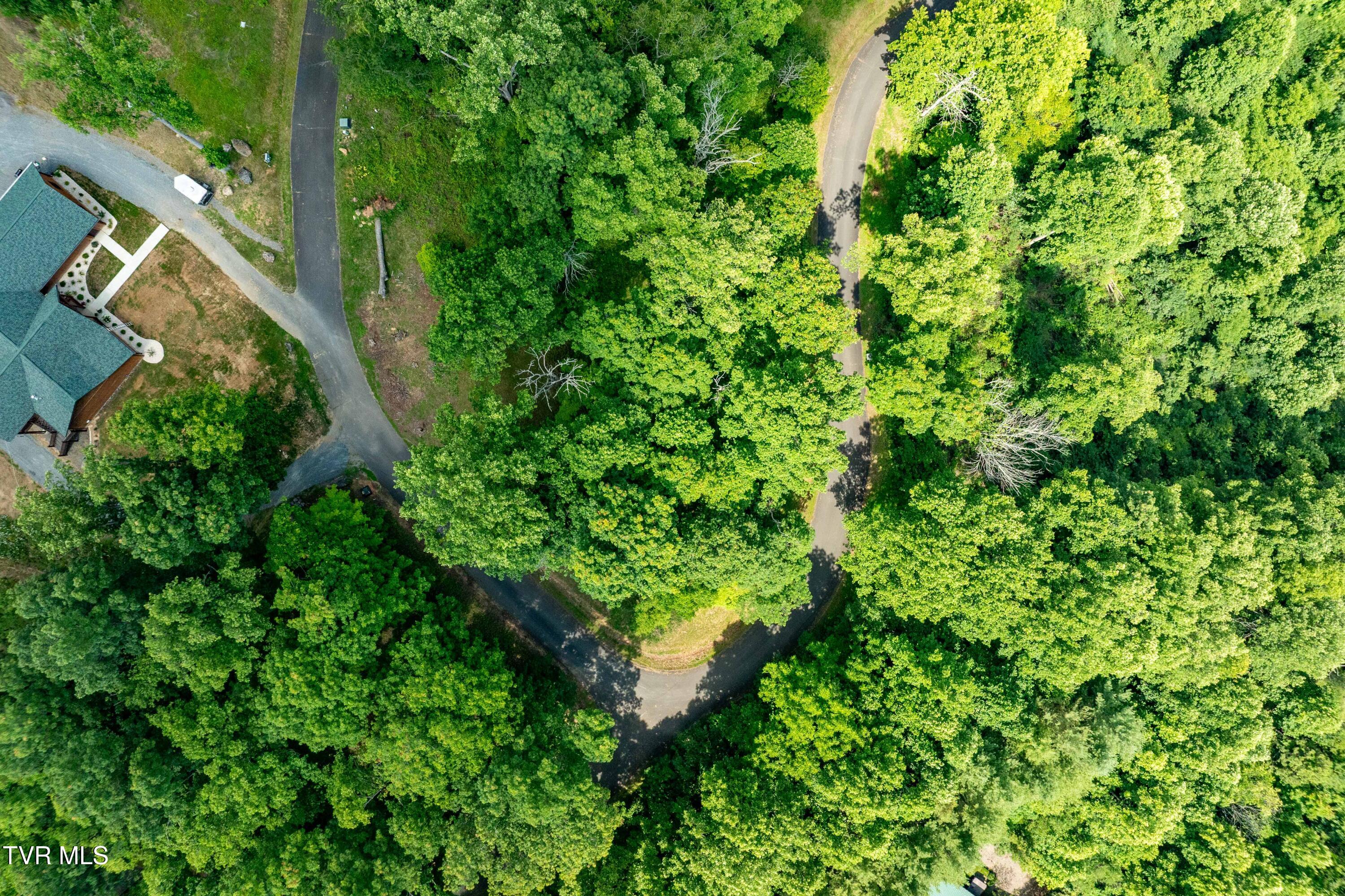 Lot 18 Lake Ridge Road, Unit 18 Butler, TN 37640 - Photo 2 of 27 Lot 18 (2 of 26)