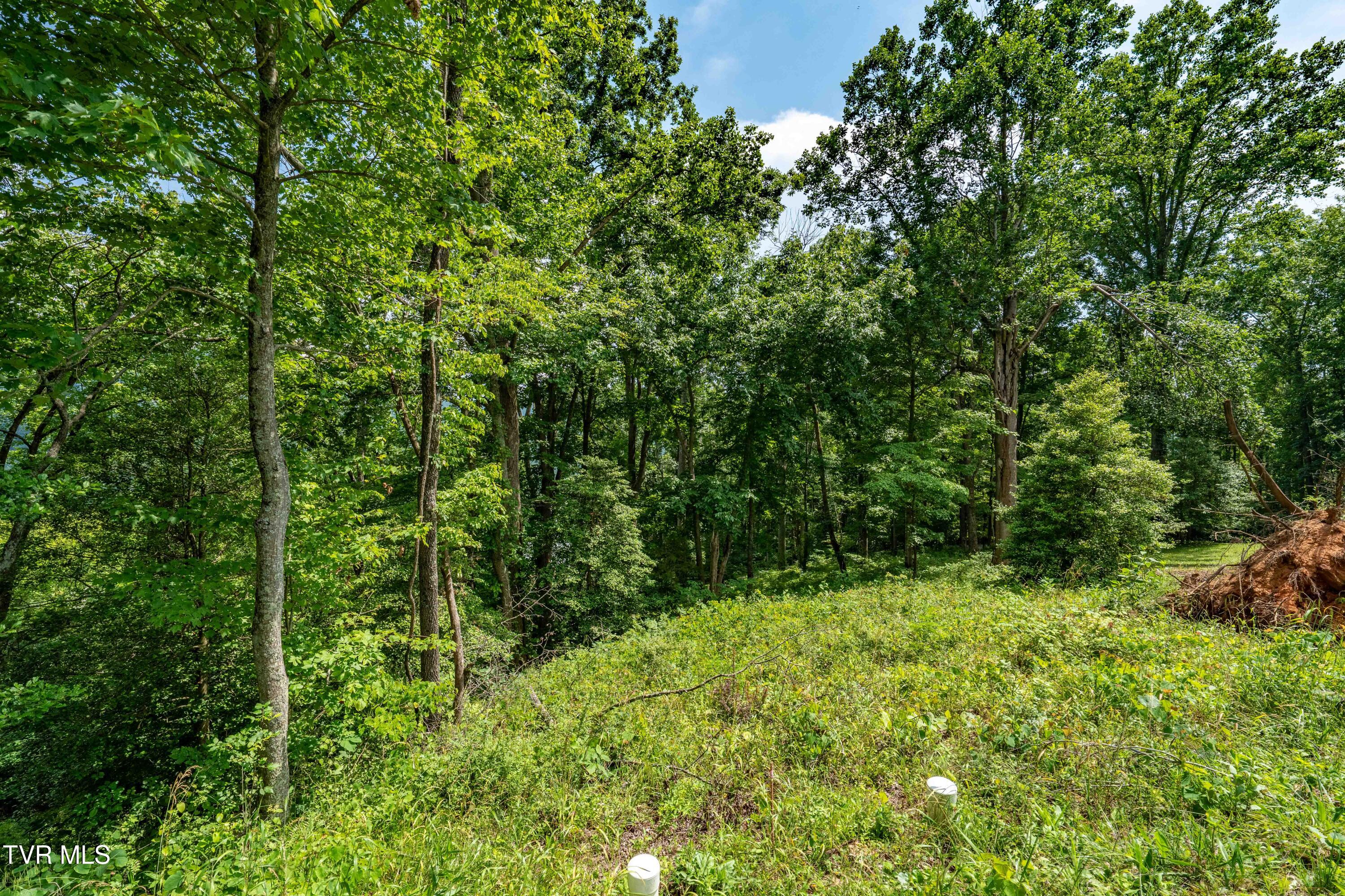 Lot 18 Lake Ridge Road, Unit 18 Butler, TN 37640 - Photo 23 of 27 Lot 18 (23 of 26)