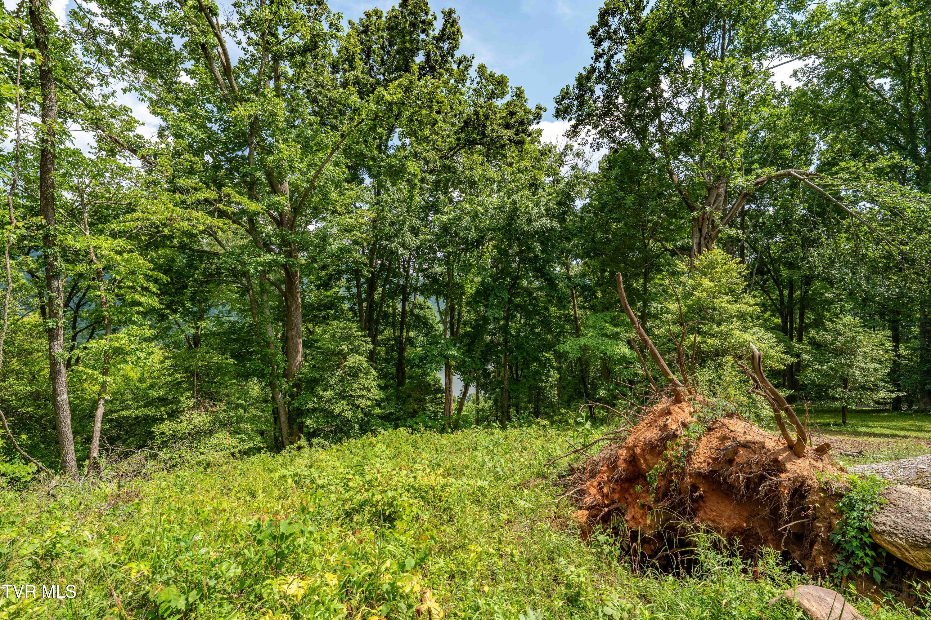 Lot 18 Lake Ridge Road, Unit 18 Butler, TN 37640 - Photo 24 of 27 Lot 18 (24 of 26)