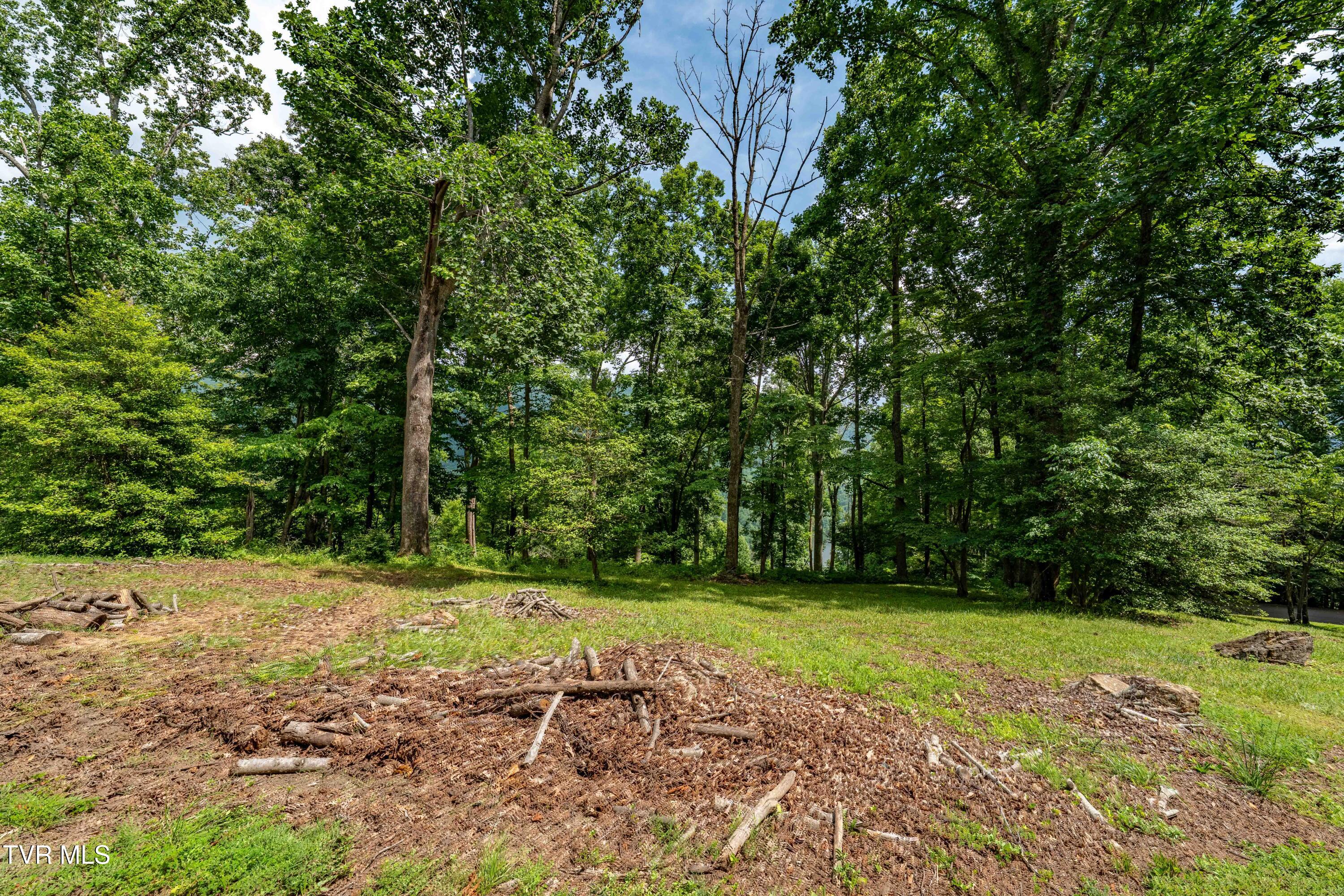 Lot 18 Lake Ridge Road, Unit 18 Butler, TN 37640 - Photo 25 of 27 Lot 18 (25 of 26)