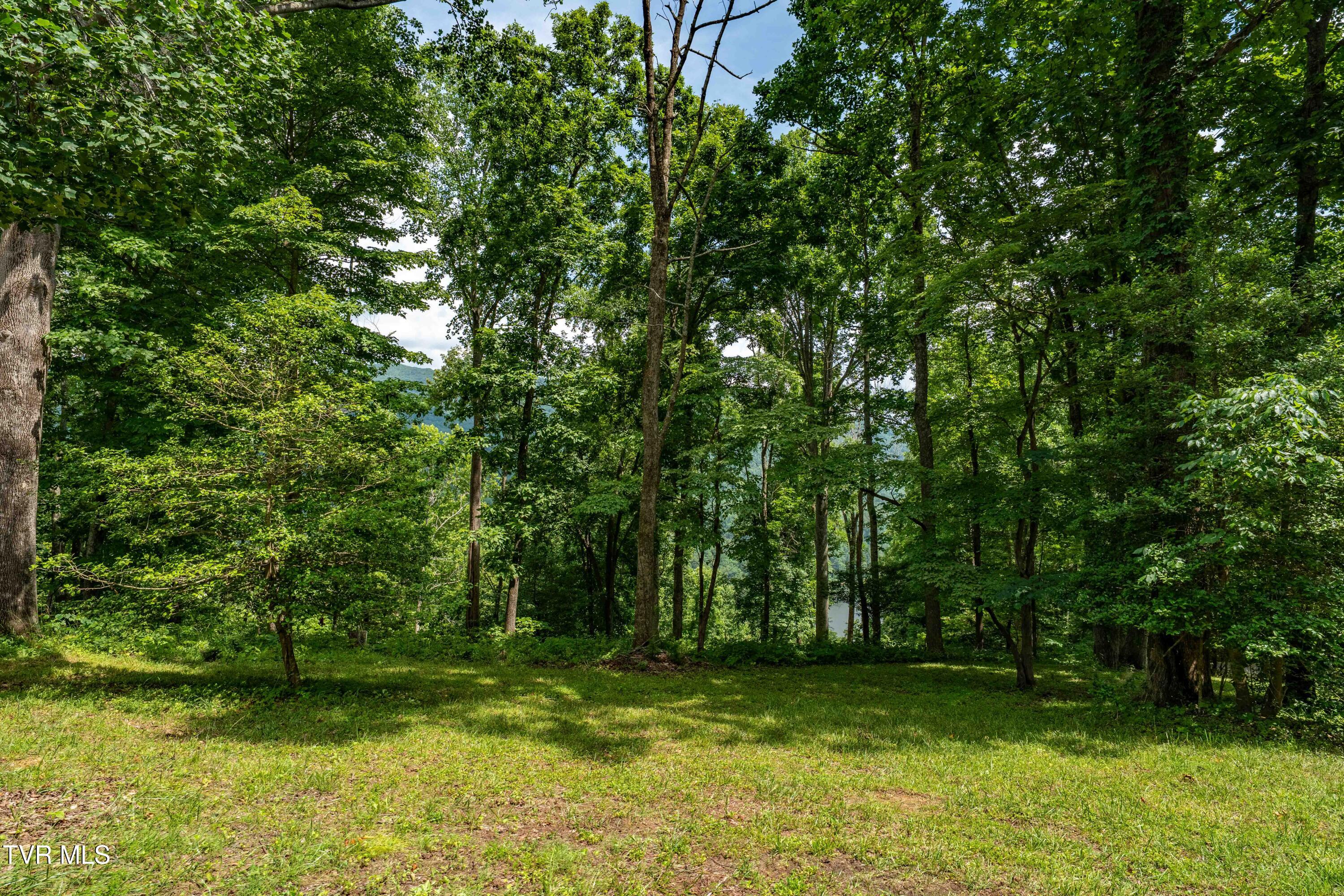 Lot 18 Lake Ridge Road, Unit 18 Butler, TN 37640 - Photo 26 of 27 Lot 18 (26 of 26)