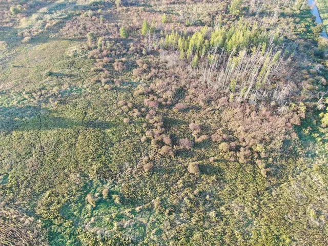 $239,900 | 40-ac County Road O, Oxford, WI 53952