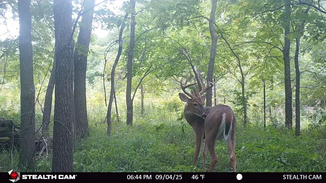 $239,900 | 40-ac County Road O, Oxford, WI 53952